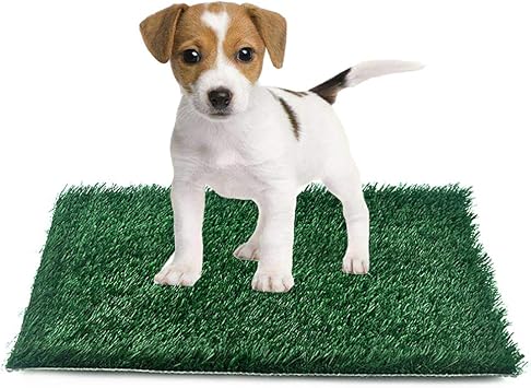 Petlex Artificial Grass Dog Grass Pad Pet Pee Grass Mat, Professional Dog Potty Training Rug Easy to Clean, Fake Turf for Indoor Outdoor Patio Decor (Tray Not Included!)