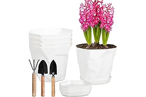 5 Inch Plastic Pots for Plants - Your Ideal Choice for Flourishing Indoor Gardens