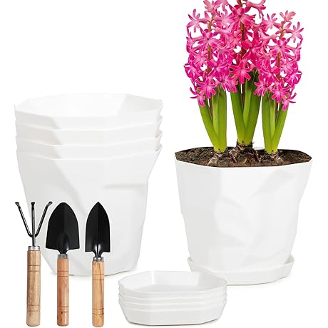 5 Inch Plastic Pots for Plants - Your Ideal Choice for Flourishing Indoor Gardens
