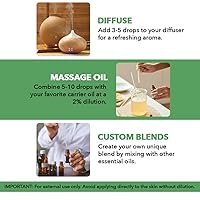 Vista 77 de Majestic Pure Essential Oil with Glass Dropper - 100% Pure and Natural - Essential Oils for Diffuser, Aromatherapy, Soap and Candle Making, BlackSeed