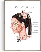 Facial Nerve Anatomy, Nerves Of The Face, Spa Esthetician Art Derma Fillers Botox Health Beauty Skin Clinic Nurse Dermatologist Poster Facial Nerve Anatomy Nerves,41