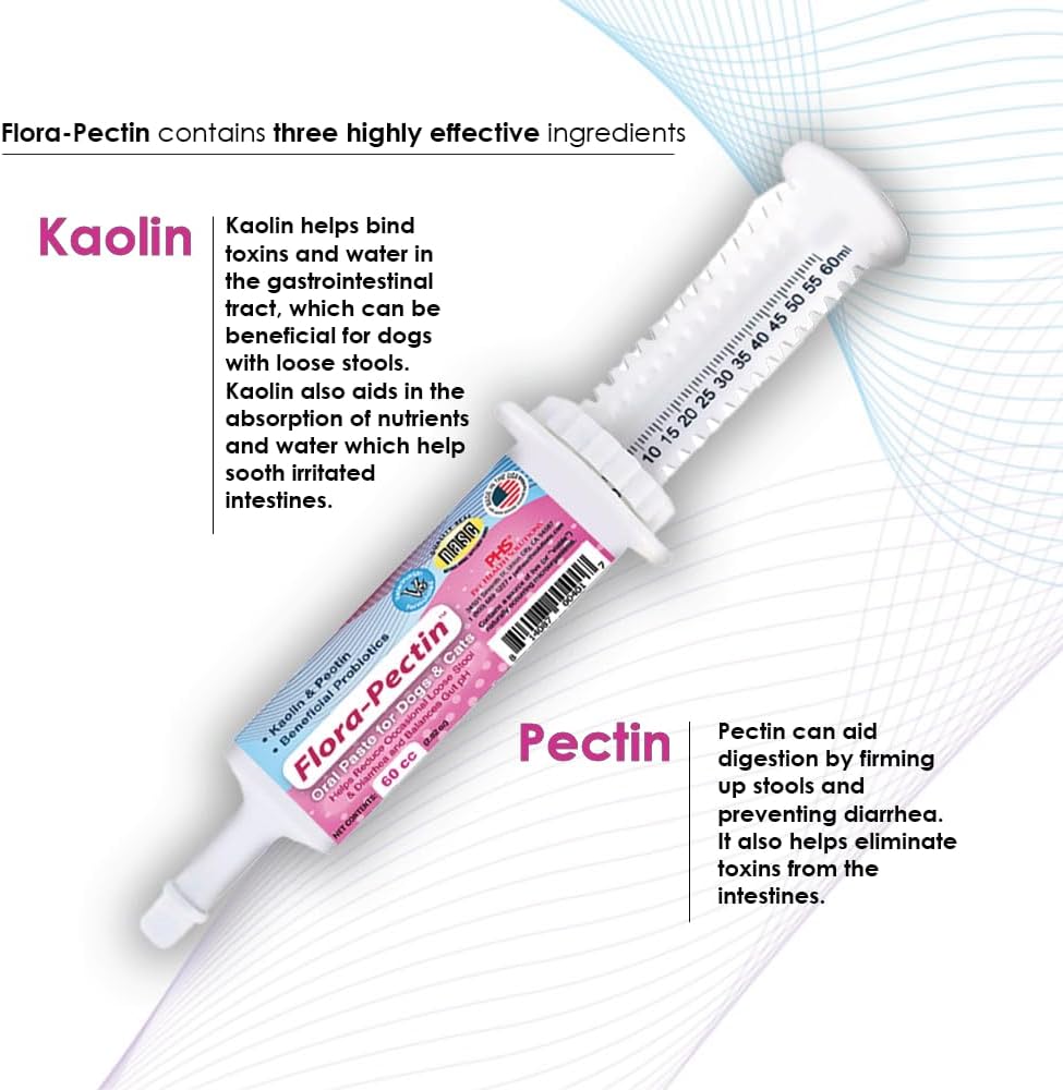 Oral Paste for Dogs & Cats-Helps Reduce Occasional Loose Stool & Diarrhea, Balance Gut pH, Support Normal Digestion & Intestinal Flora-Fast Acting (60 CC - Tasty Chicken Flavor)