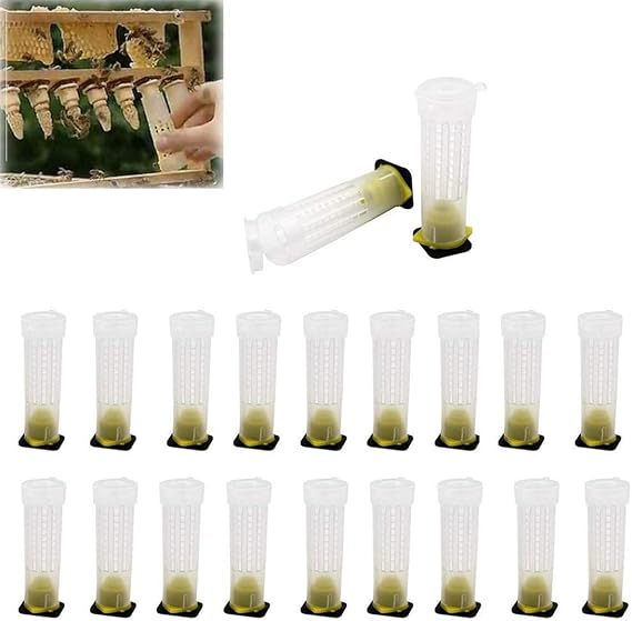 Bee Queen Cage Rearing Cup 20 Sets Beekeeping Equipment Insects Tools