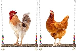 Chicken Swings for Coops: The Ultimate Coop Accessory for Happy, Healthy Hens