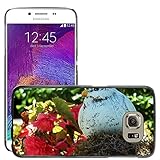 galaxy note 8 replica precio Conception Snap-on Grand Phone Cases Etui Housse Coque de Protection Cover Rigide pour // M00140640 Deco Fig Replica Paloma Pájaro // Samsung Galaxy S6 (Not Fits S6 Edge)
