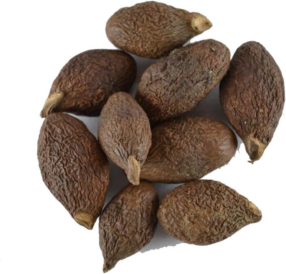 Aapkidukan Niranjan Phal - 100 GM Sterculia Lychnophora - Malva Nuts China Fruit