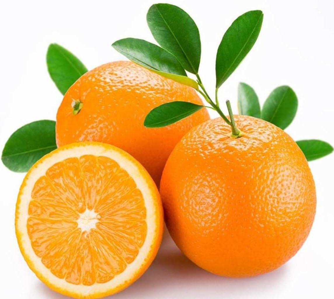 Orange Seeds(30 Seeds)