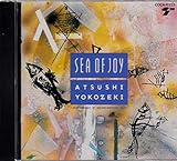 SEA OF JOY*����̊C