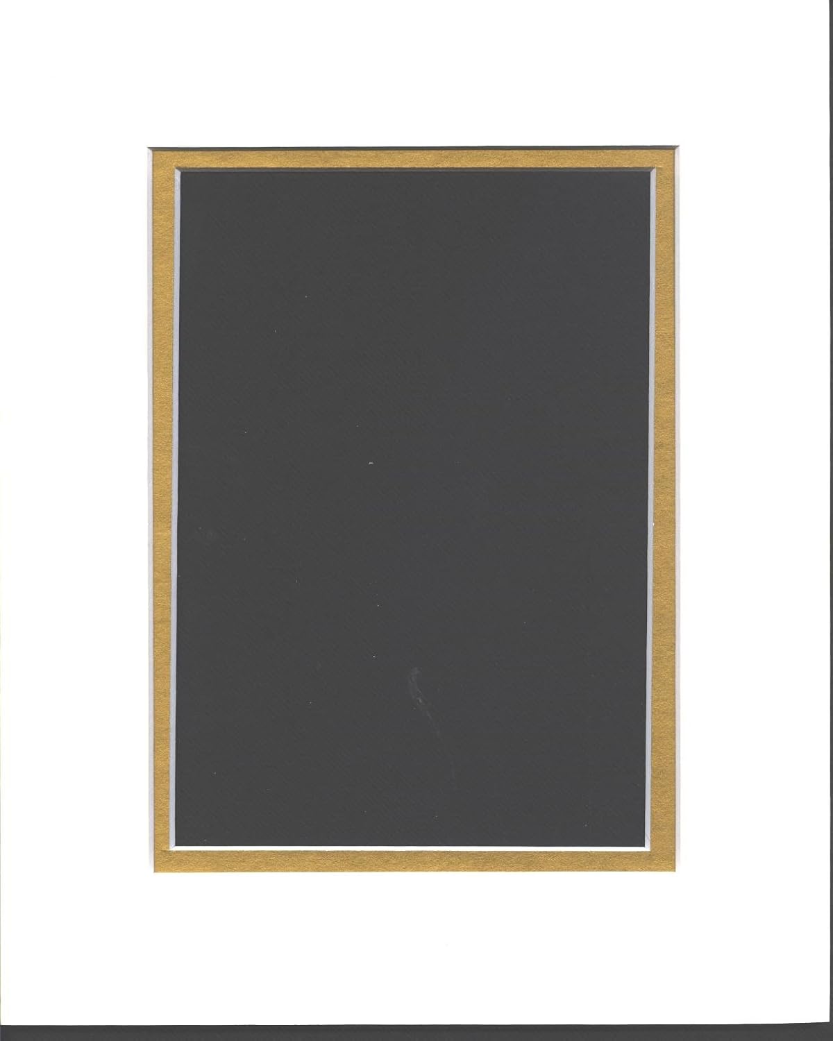 18x24 White & Gold Double Picture Mats Bevel Cut for 12x18 Pictures