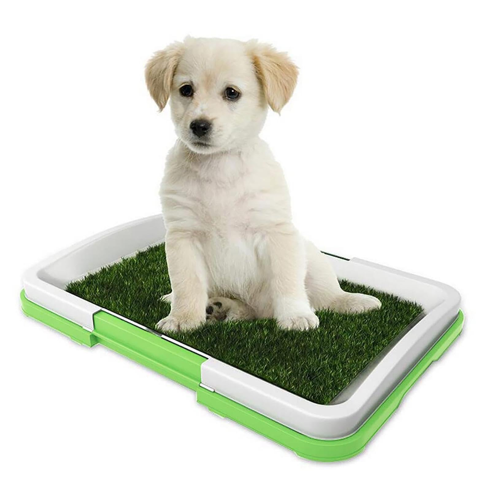 Puppy Potty Grass Mat, Indoor Turf Dog Potty Pad for Pet | Fake Grass Replacement, Splash Proof Reusable Three-Layer Design