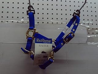 Mini Small Pony Royal Blue Premium Halter w/Adjustable Chin and Throat Snap