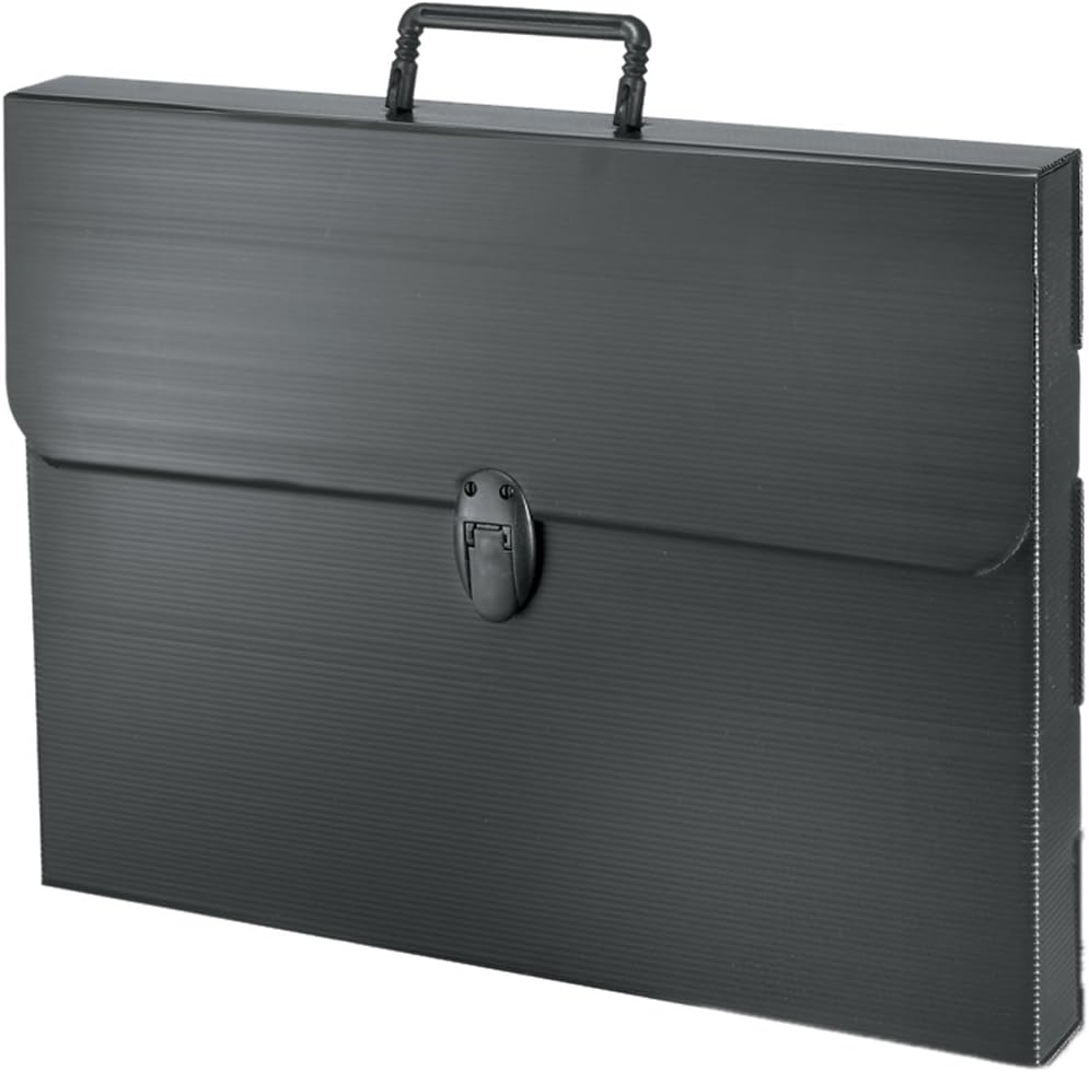 Artcare A1 Polylite Case, Black, Synthetic Material, 92 x 5 x69 cm
