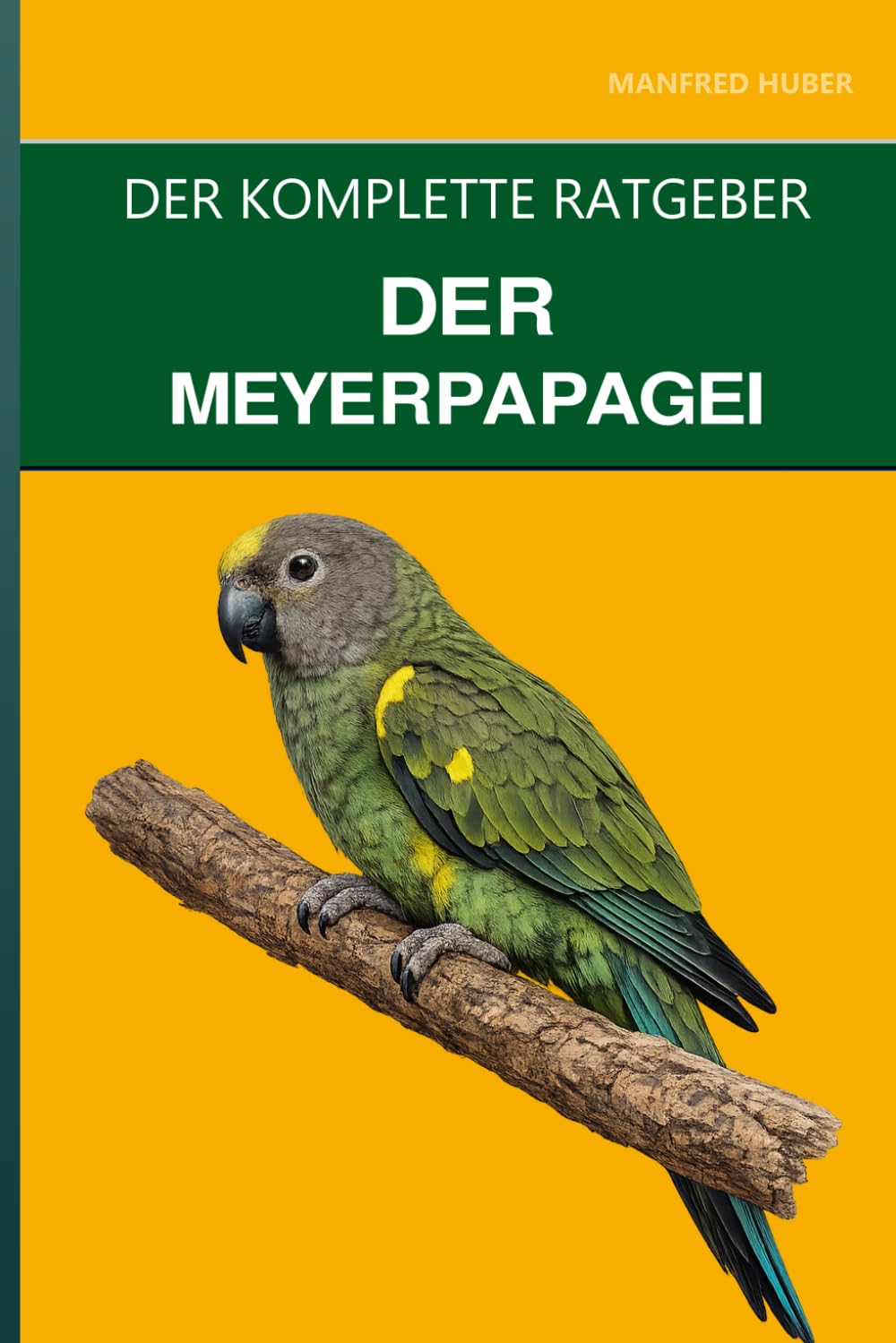 Der Meyerpapagei: Ein kompletter Leitfaden für die Pflege, die ruhige Haltung und den am meisten unterschätzten Hauspapagei