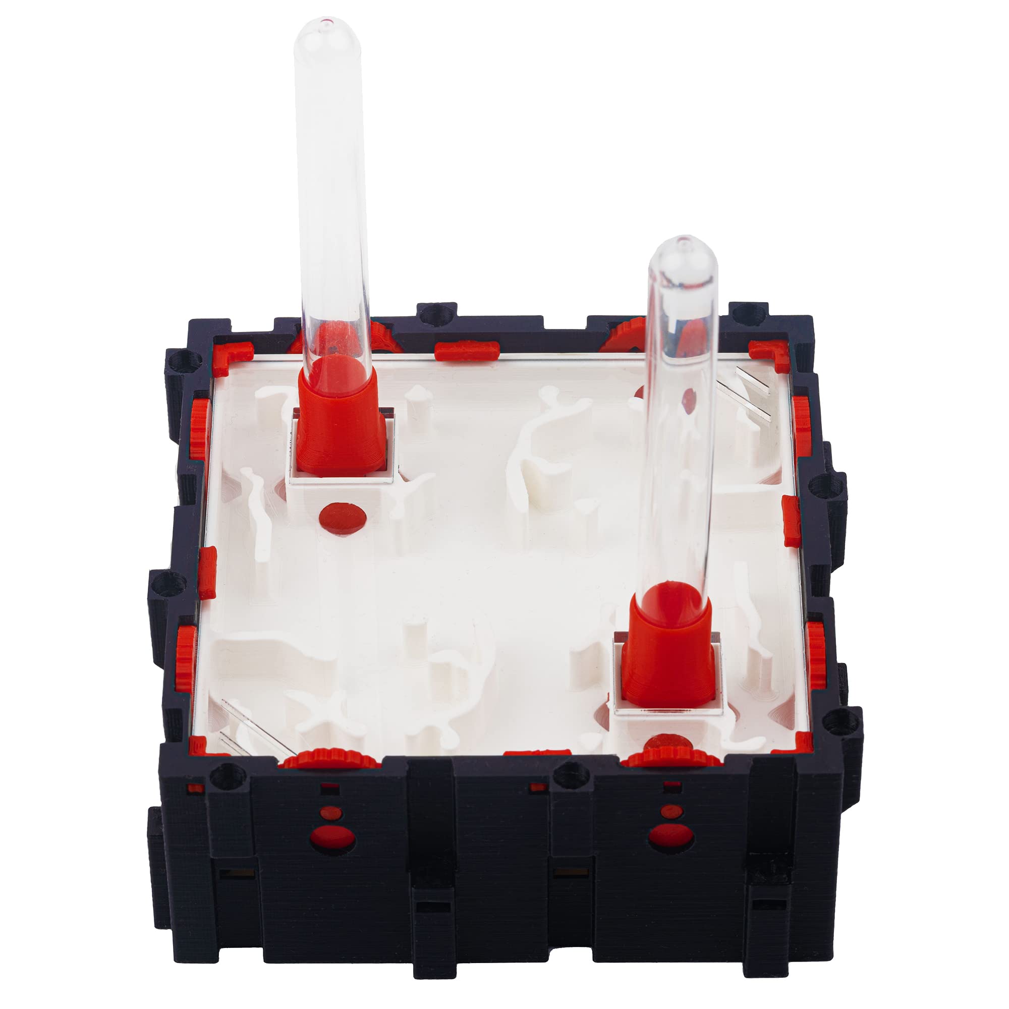 Anthouse.es - Hormigueros Modulares 3D - Modelo QBIK Quadra - Terrario Ampliable para Colonias de Hormigas - Hormiguero con Galerías Tipo Cueva - Hormiguero 3D con Sala de Forrajeo - 12,78x12,78x5 cm