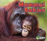  Mammal Babies (Acorn)