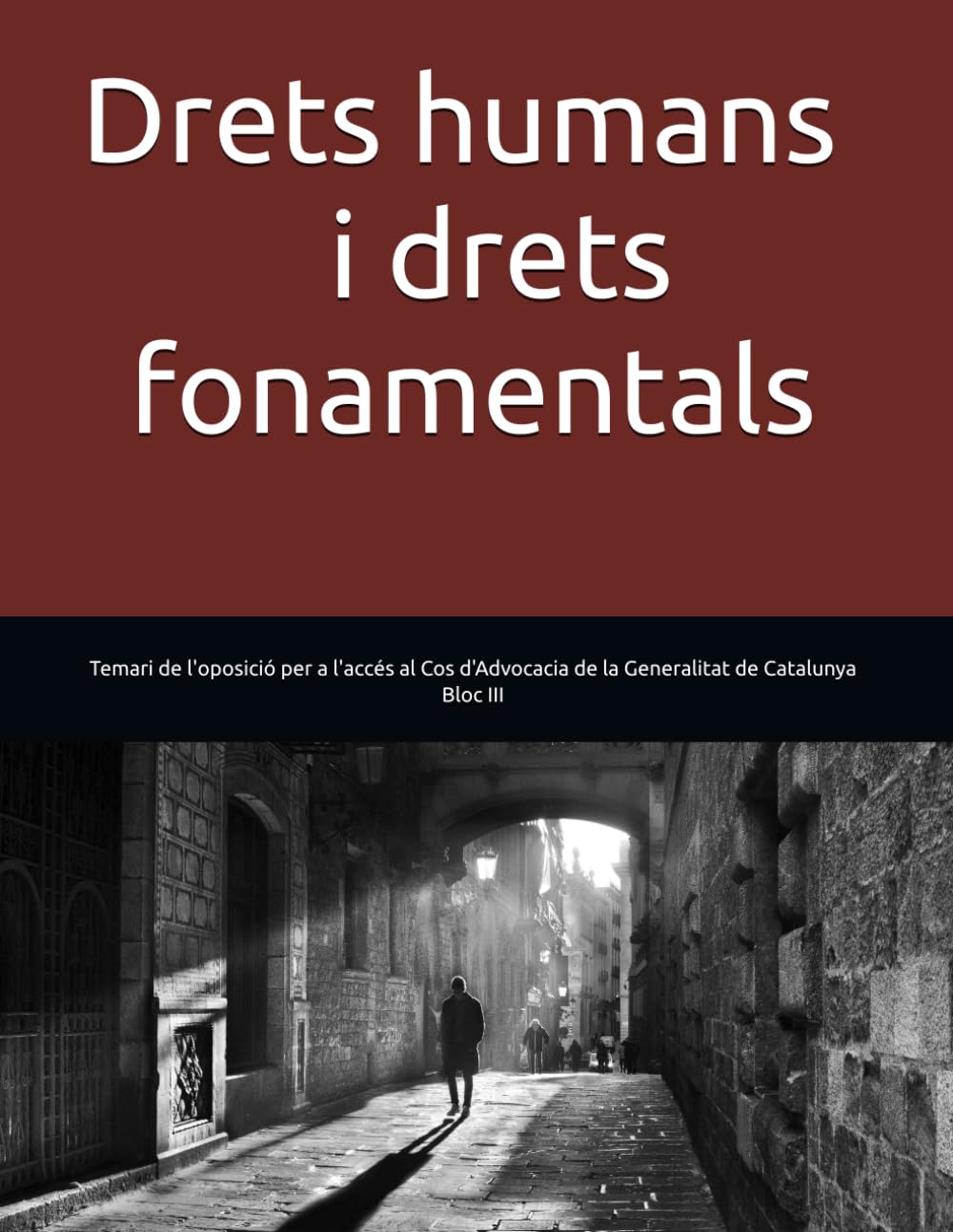 Drets humans i drets fonamentals (Temari de l'oposició per a l'accés al Cos d'Advocacia de la Generalitat de Catalunya)