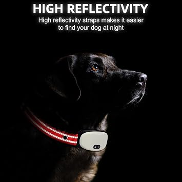 Collar Replacement Strap, Reflective Replacement Nylon Collar Strap