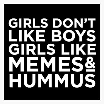 Girls Like Memes & Hummus Sticker Vinyl Bumper Sticker Decal Waterproof 5"
