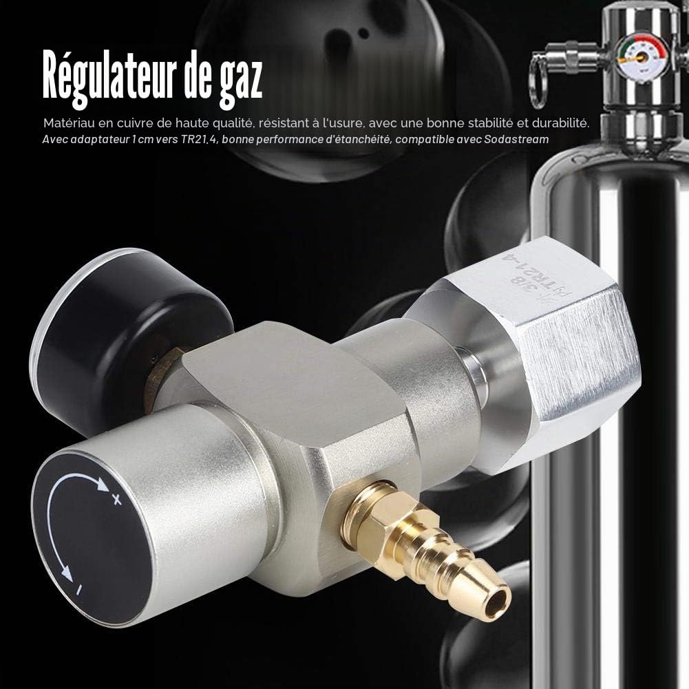 Mini manomètre de régulateur de gaz CO2 2 en 1, adaptateur de raccord de contrôle de pression 3/8in à TR21.4 pour