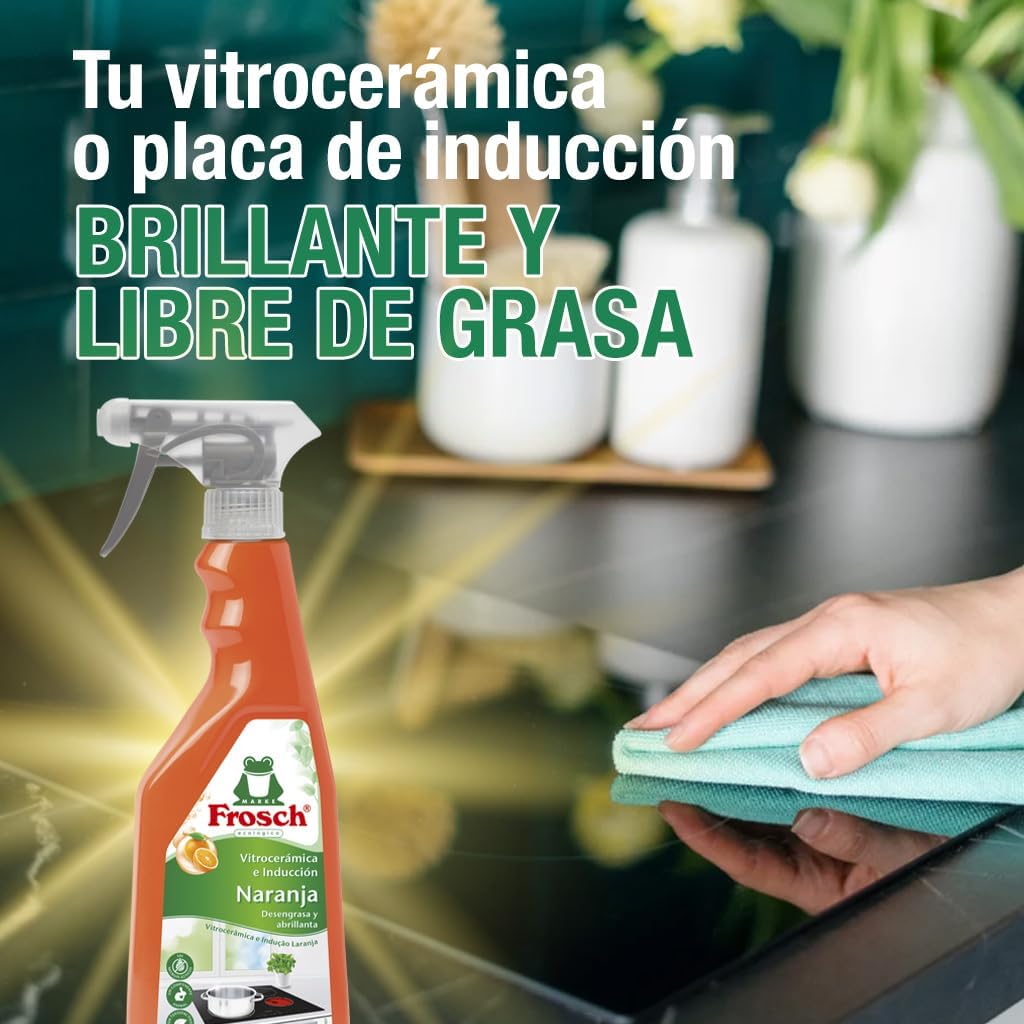 Detergent per superfici Kitchen Frosch (750 ml)