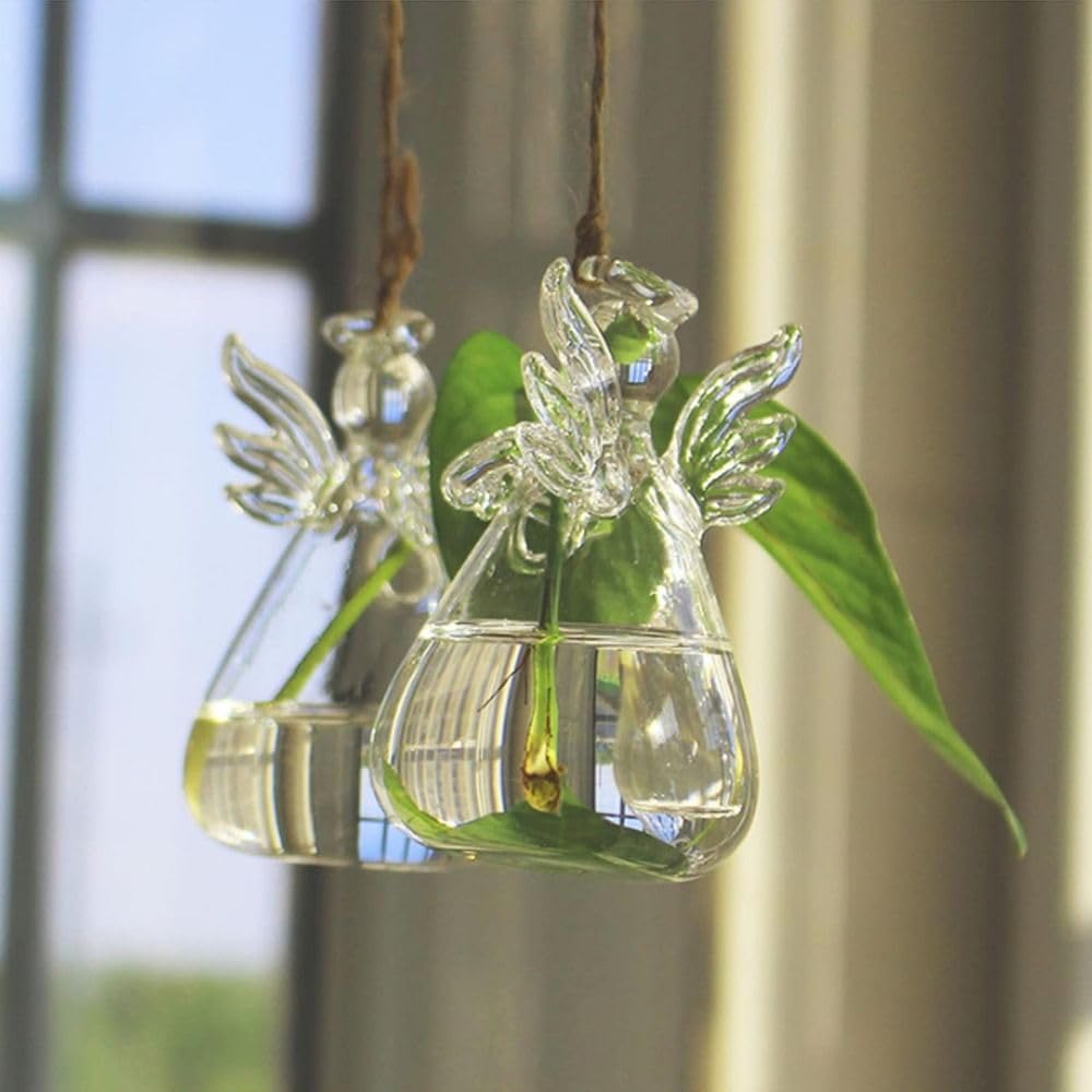 black magic philodendron Philodendron Black Gold starter plant **(ALL plants require you to purchase  ANY 2 plants!)** main image 0