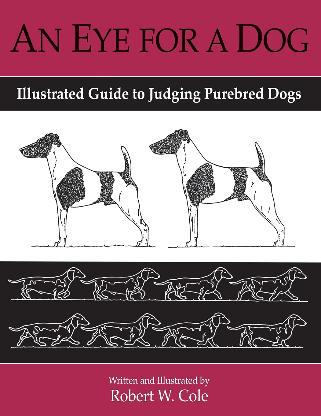An Eye For a Dog: Illustrated Guide to Judging Purebred Dogs