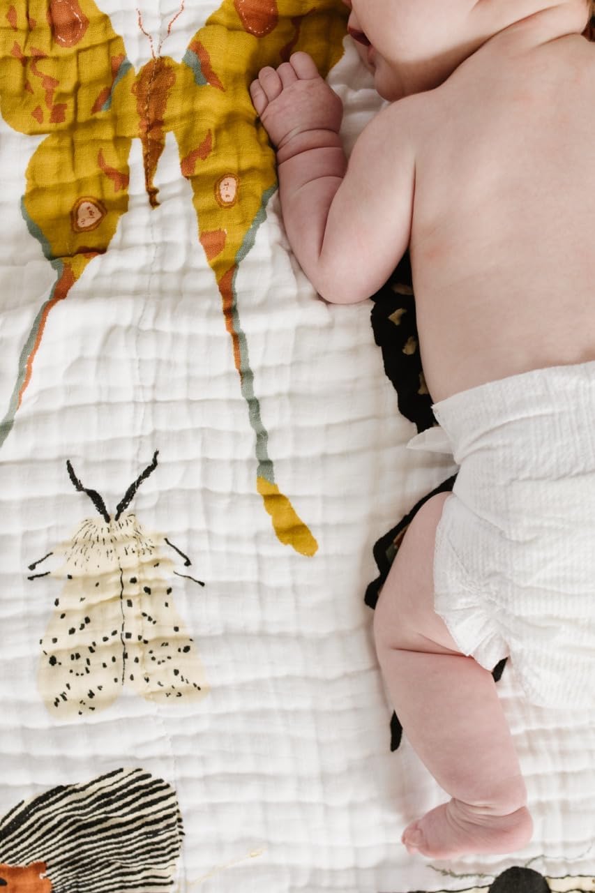 CLEMENTINE KIDS Reversible Quilts (Butterfly Collector) - Image 7