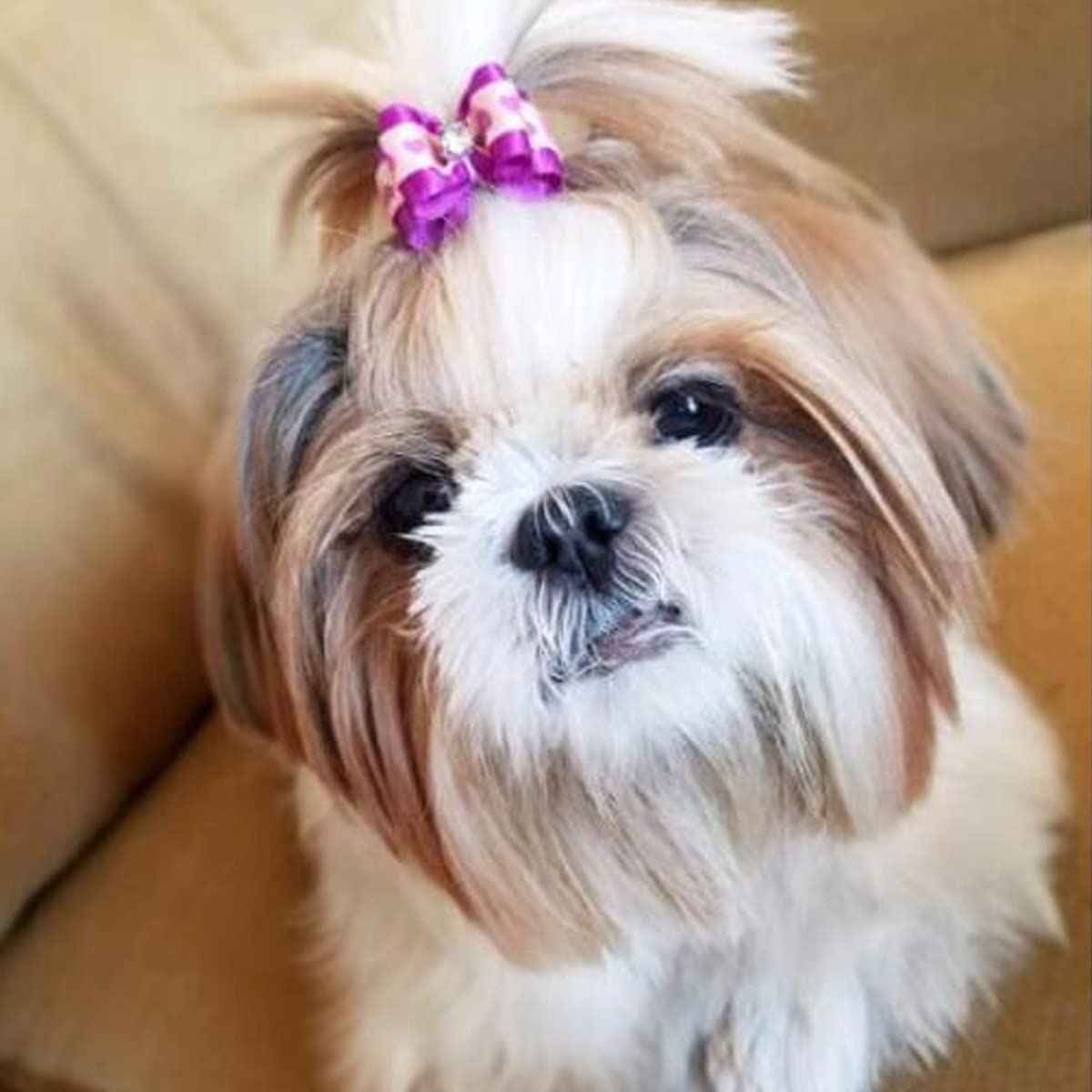 Lazos Para Perros 100-Pack Dog Hair Bows With Rubber Bands Small