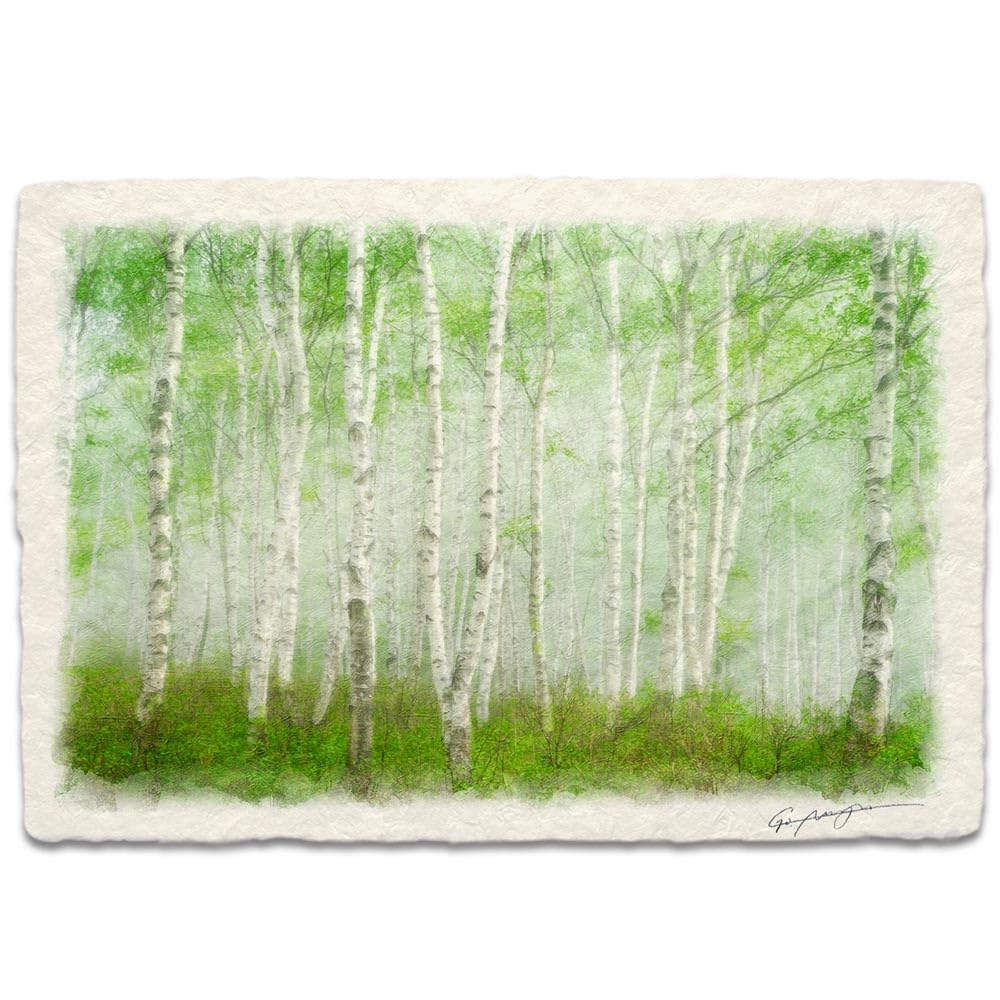 Nishijima Washi Paper Art Panel Birch Forest Green 11.7x8.3in Japanese