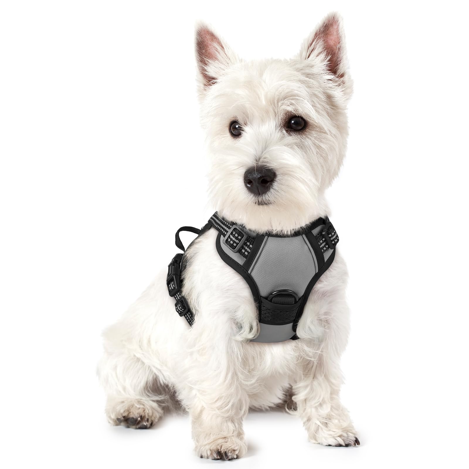 rabbitgoo Dog Harness No Pull with 2 Leash Clips, Adjustable Soft Padded, Reflective Oxford No Choke Pet Vest with Easy Control Handle for Puppy, Grey