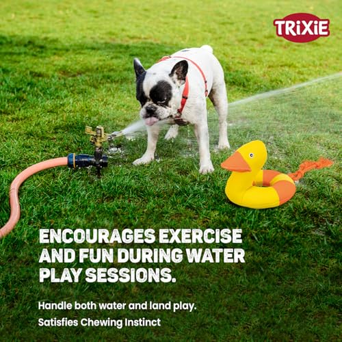 Trixie Wasserente auf einem Seil für Training und Hundespiel, um ihn aktiv und gesund zu Machen