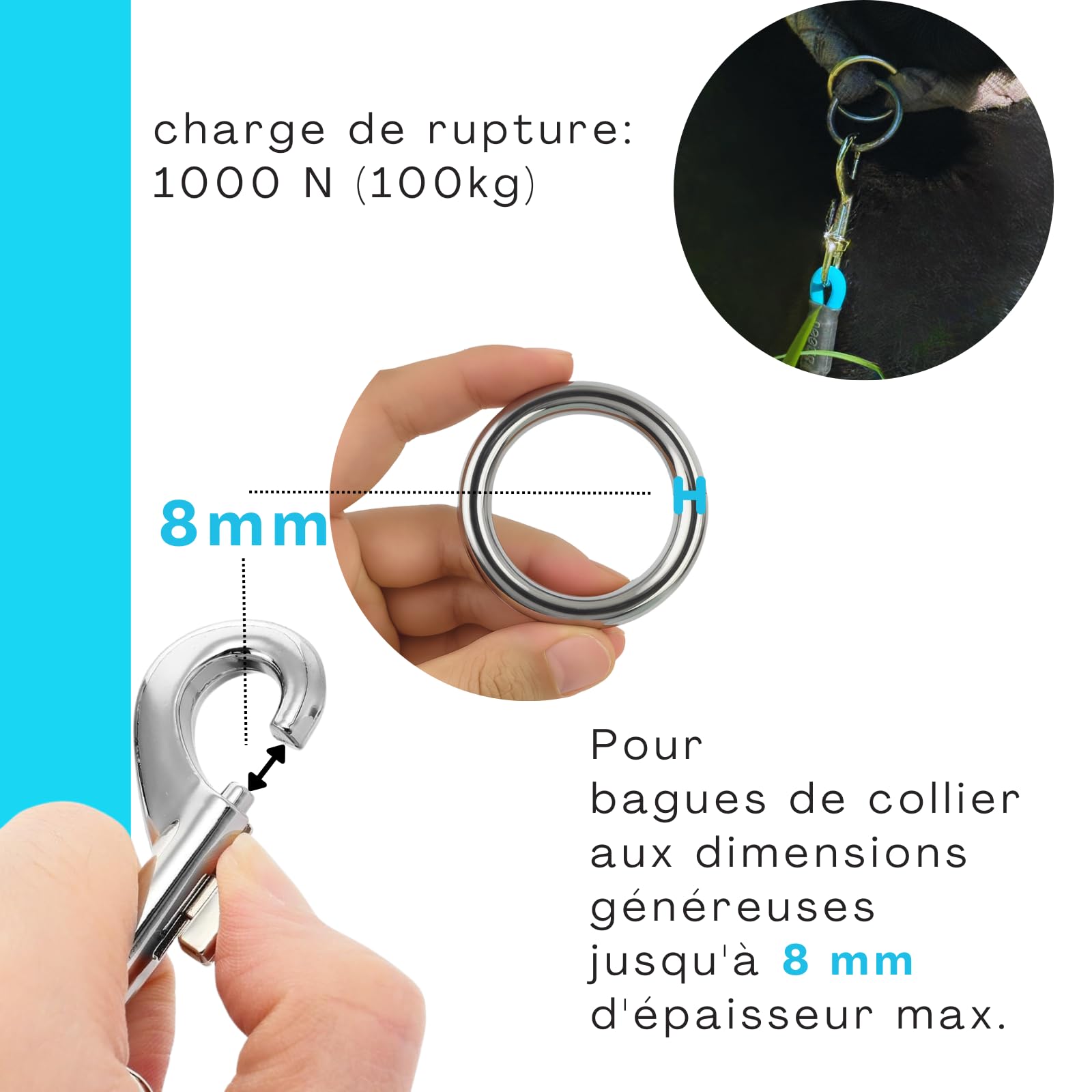 Laisse pour Chien de 10 m - Étanche - Ronde - sans Boucle - Laisse d'entraînement sûre - Cyan Bleu - Jusqu'à 35 kg