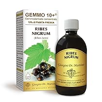 Dr Giorgini RIBES NERO (Ribes nigrum) Gemmoderivato Concentrato Liquido Analcoolico – 500 Millilitri