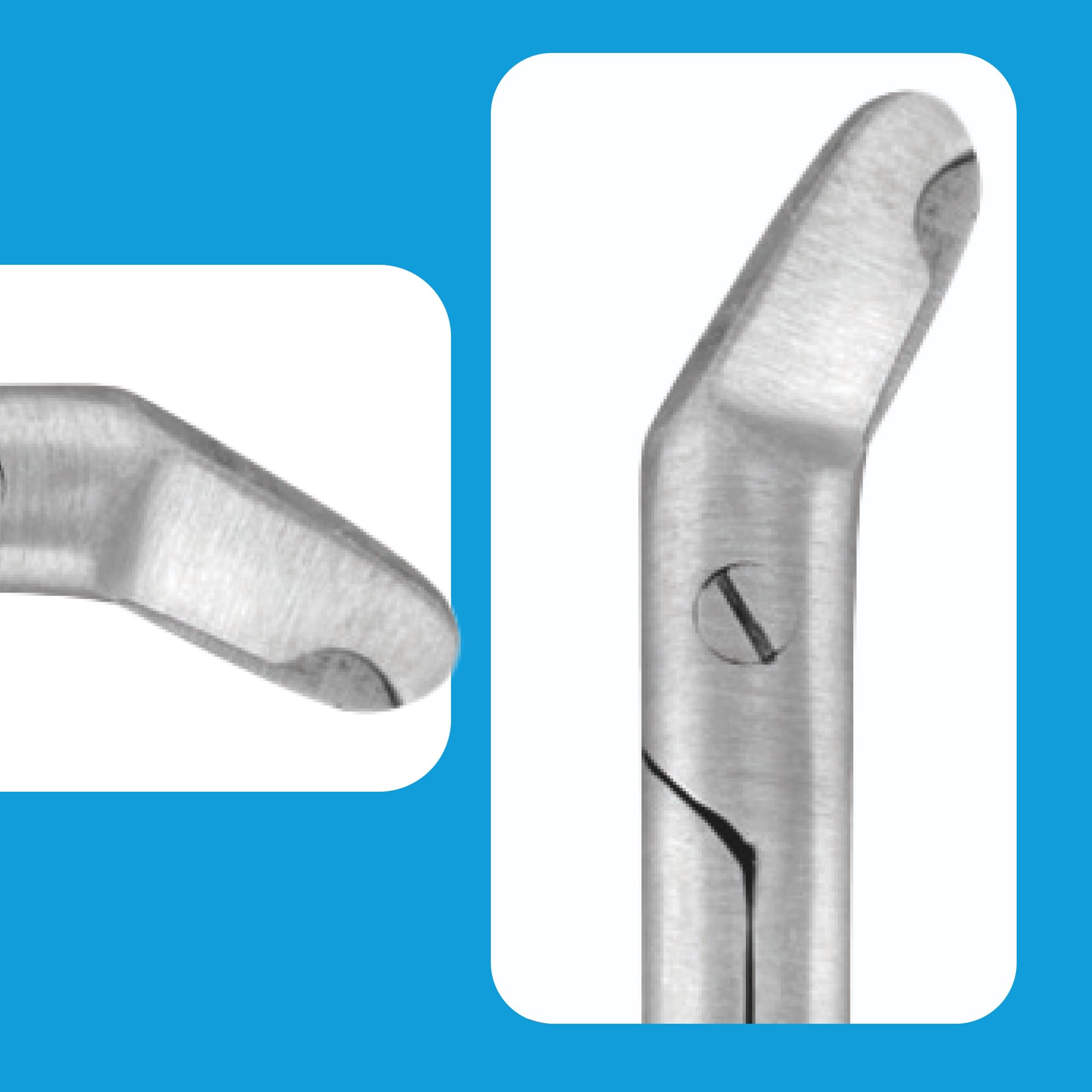 DrTail Nail Scissors – Stainless Steel Clippers and Trimmers for Pets | Professional Grooming Tool for Precise and Safe Nail Trimming (3.5