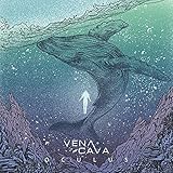 VenaCavaKy