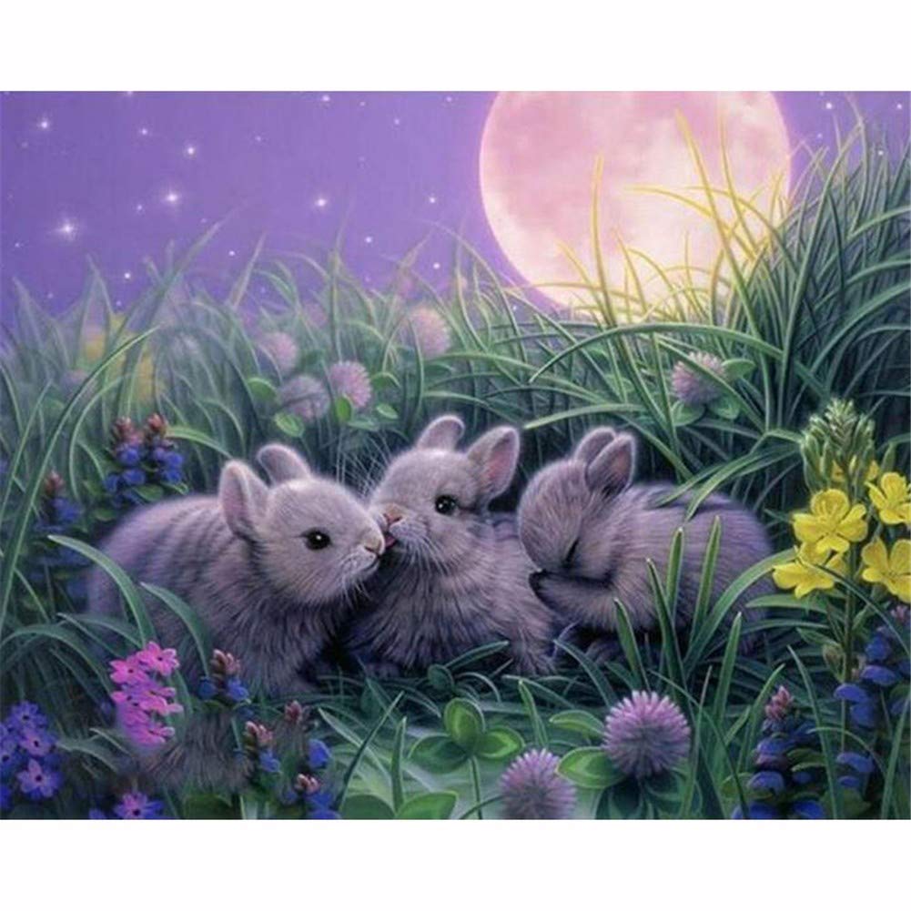Broderie diamant 5D diy lapins de lune pour une décoration zen de votre salon