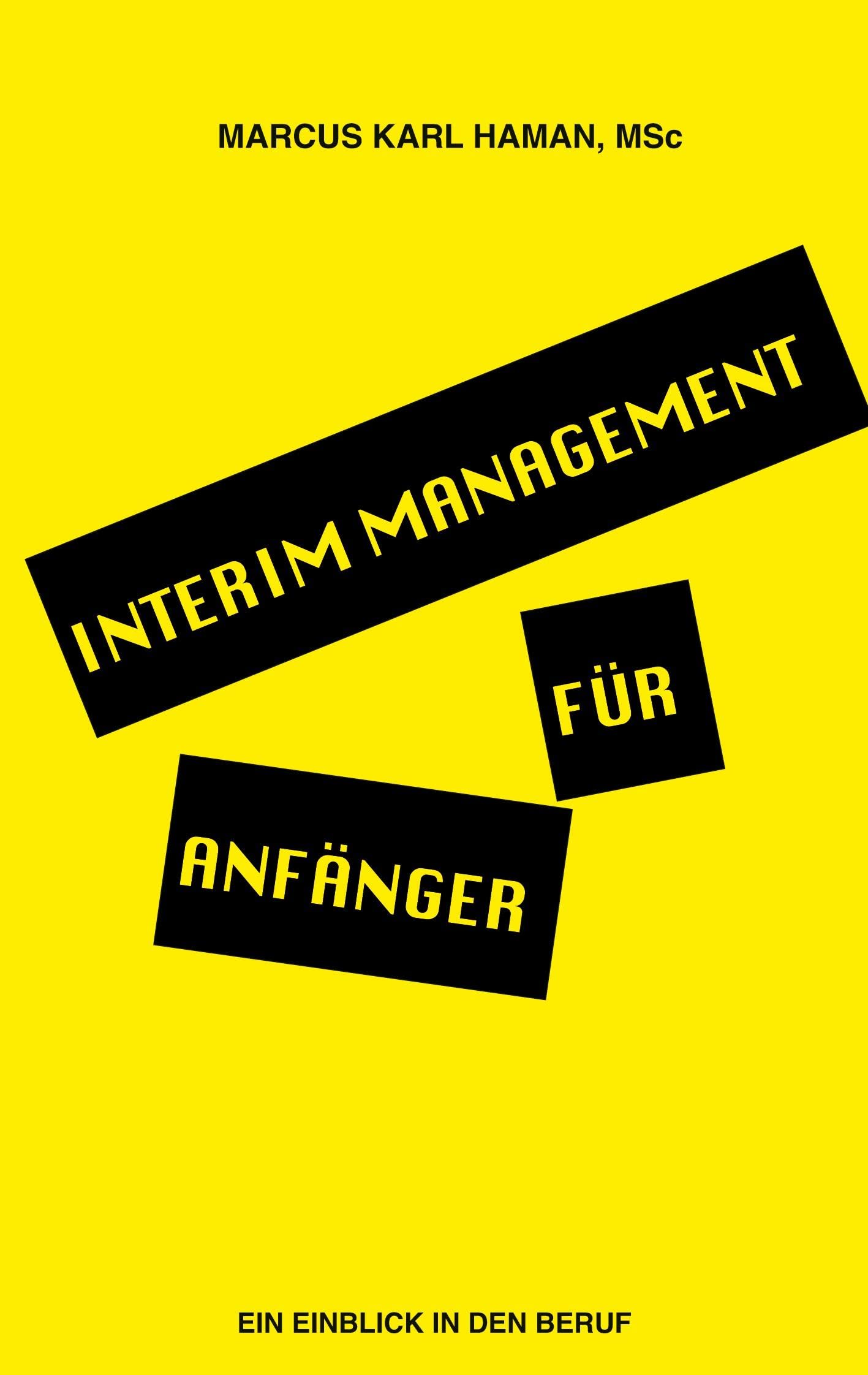 Interim Management für Anfänger: Aller Anfang ist schwer!