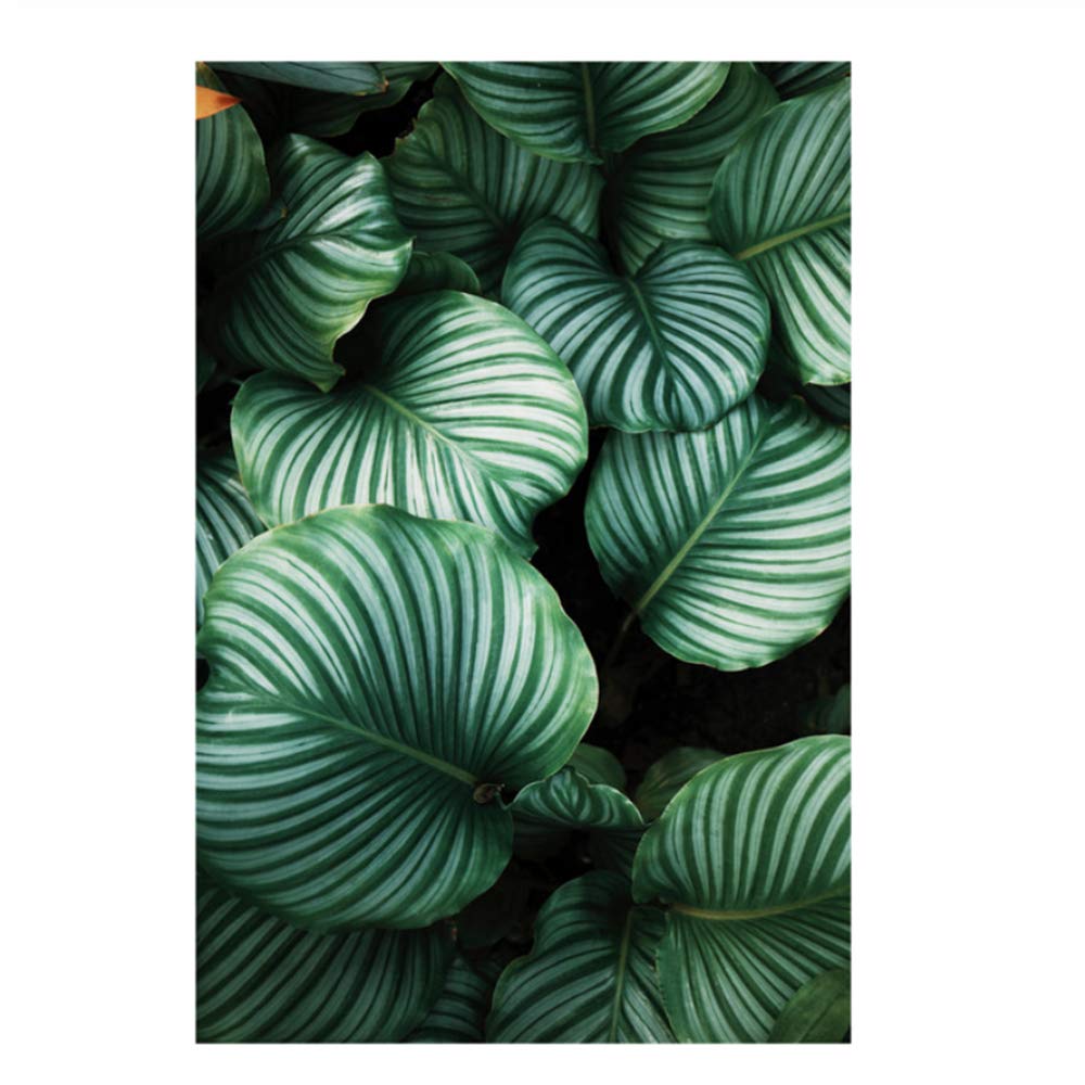 Pintura de la Lona Diosa Hoja Carteles Lámina de Pared Plantas Tropicales Cuadros de Pared para Sala Decoración del Marco del hogar 50x70cm (19.7 "x27.6) x2 con Marco