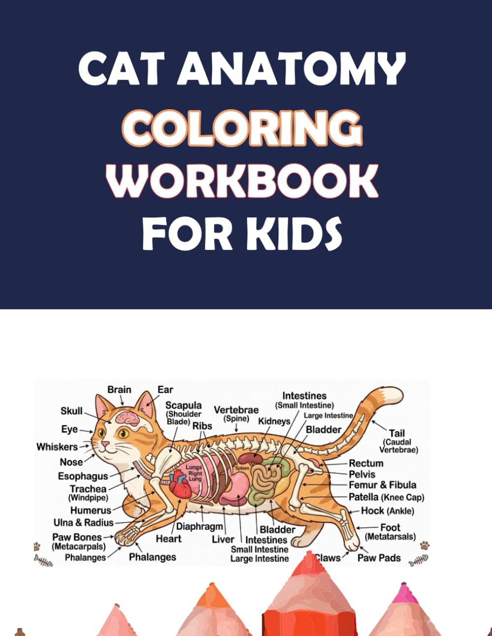 Cat Anatomy Coloring Workbook for Kids: Learn Cat Body Parts with Easy and Cute Coloring Pages