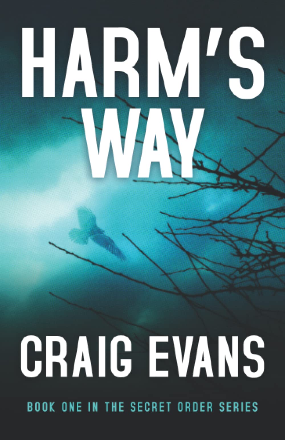 Harm's Way (Secret Order Series)
