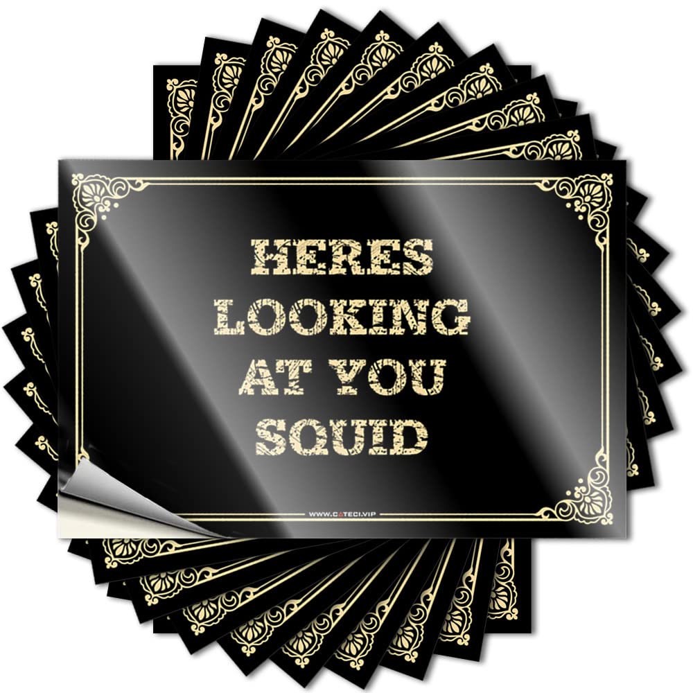 Dsoluuing Colour Bumper Sticker Heres Looking At You Squid Stickers Stickers Funny Man Cave Sign Decor (Color : Size : 12X18cm)