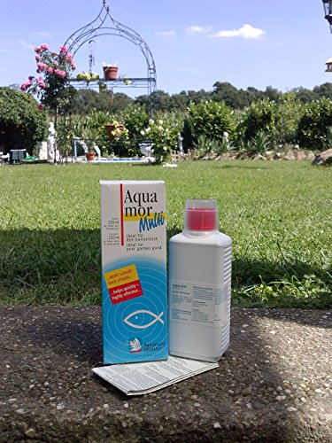 Aquarium Münster Aquamor multi für 5000 l