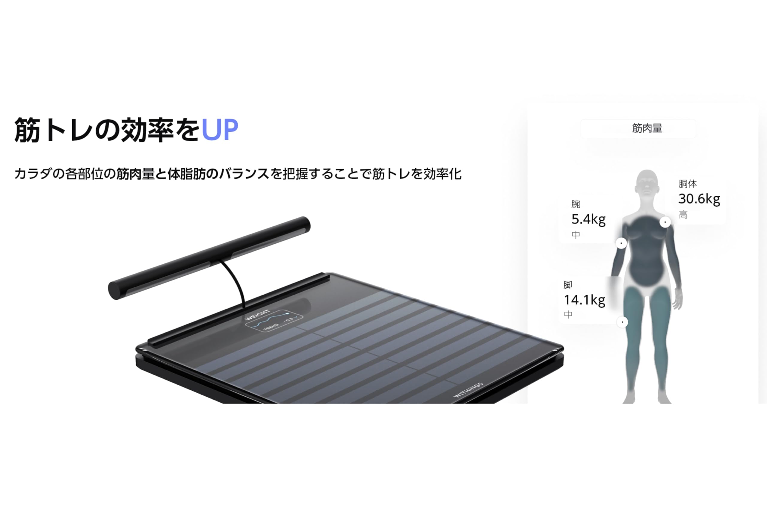 Amazon.co.jp: Withings Body Segment フランス生まれのスマート体重計 