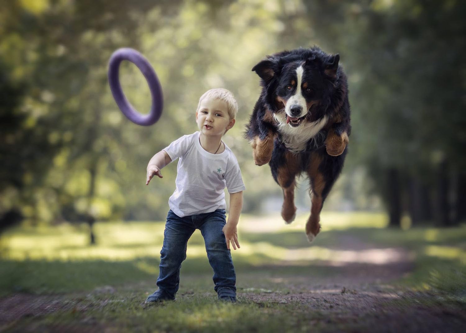 Puller Standard, 2 unidades, anillos de juego, dispositivo de fitness para perros, juguete interactivo para perros, juguetes acuáticos, juguetes de lanzamiento, 28 x 4 cm