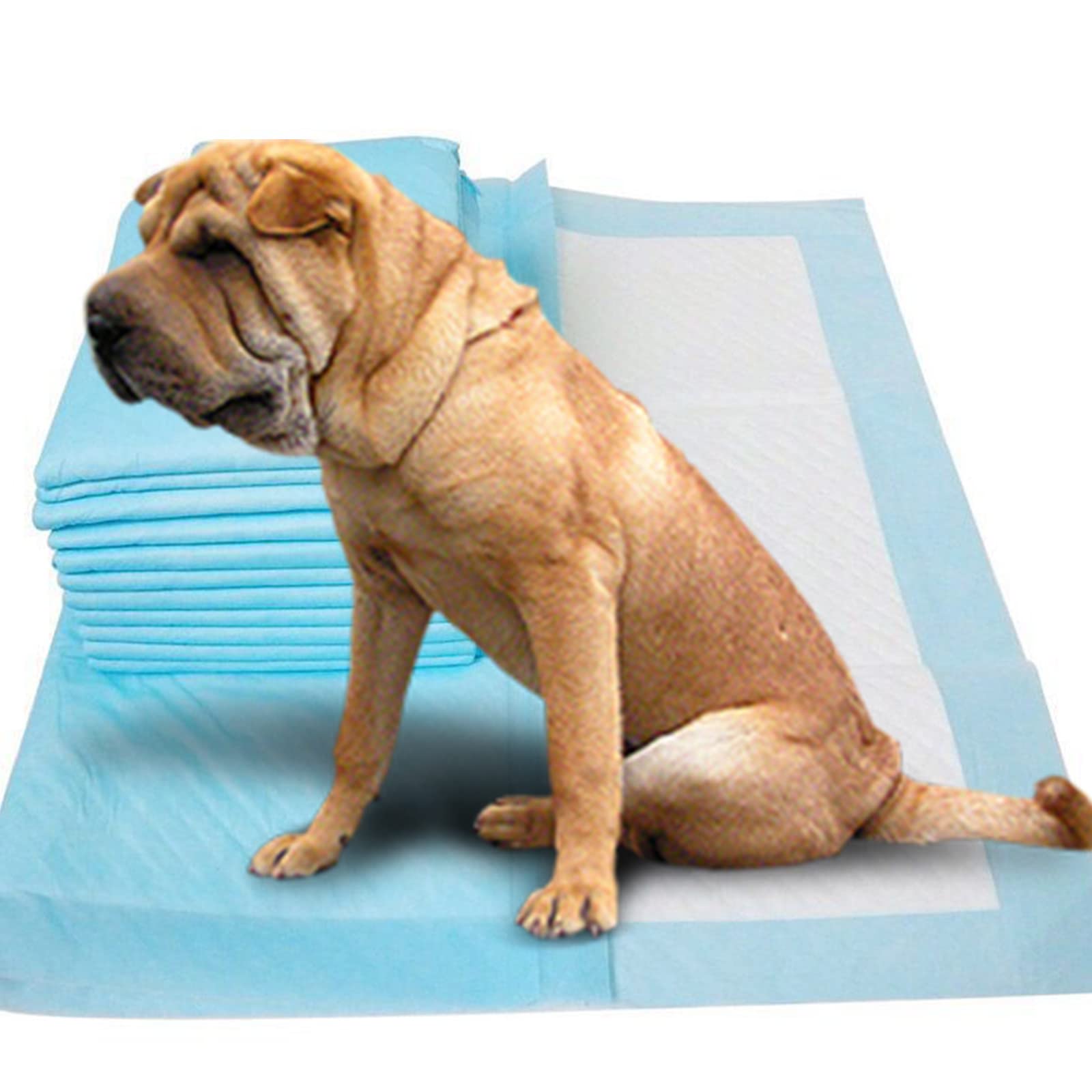 Empapadores Perros Alfombrillas Higiénica Desechables para Mascotas, Almohadillas De Entrenamiento para Mascotas,Súper Absorbentes,Resistente A Prueba De Fugas