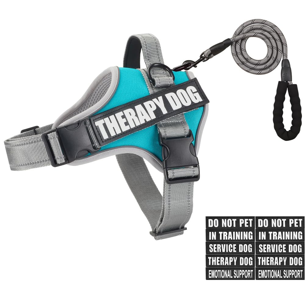 Dog Vest Harness and Leash Set, Animire Reflective Service Dog Vest in Training Dog Harness with 10 Patches, 3 Rings Emotional Support Therapy Dog