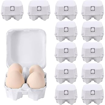 Pack of 12 Egg Cartons Egg Box 4 Cardboard with Lid Biodegradable Egg Boxes for Eggs Made of Recycled Material Space-Saving Stackable Egg Tray Sustainable Simple Storage