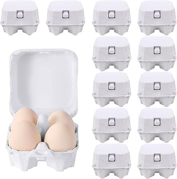 Pack of 12 Egg Cartons, Egg Box, 4 Cardboard with Lid, Biodegradable Egg Boxes for Eggs, Made of Recycled Material, Space-Saving, Stackable Egg Tray, Sustainable, Simple Storage