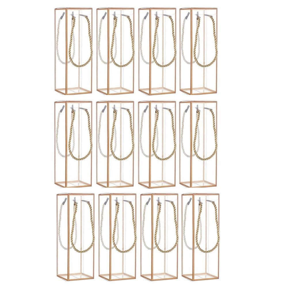 CTRLZS 12 Pack Transparent Plastic Gift Box, Clear Plastic Favor Box, Rectangle Candy Box with Golden Borders