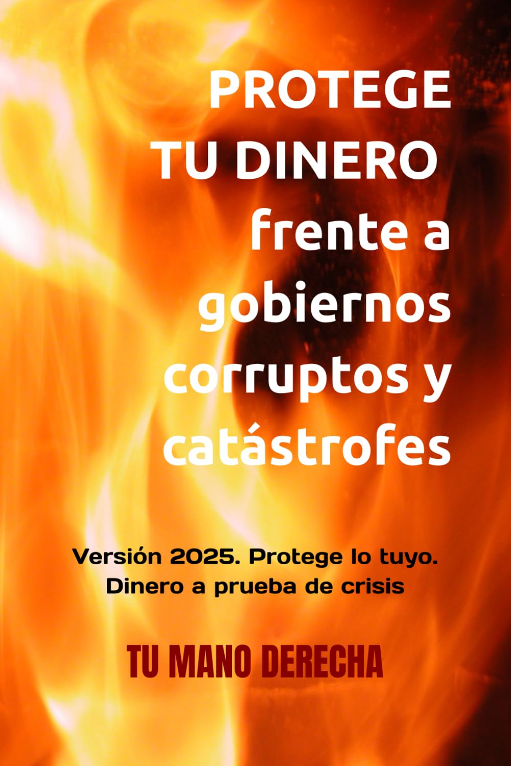 Protege tu dinero frente a gobiernos corruptos y catástrofes.: Versión 2025. Protege lo tuyo. Dinero a prueba de crisis (EDUCACIÓN FINANCIERA) (